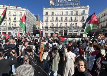 RESCOP: «El Gobierno NO ha aprobado un embargo de armas a Israel: seguimos movilizándonos»