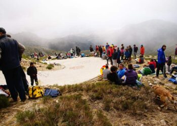 Ecologistas en Acción Sierras ha presentado alegaciones al Plan de Carreteras 2025-2032 de la Comunidad de Madrid, rechazando ocho proyectos en la comarca de la Sierra y aledaños