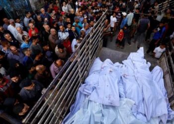 Congresista, aliada de Trump, condena masacre de niños en Gaza