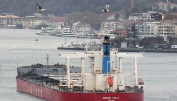 El «Navios Felix», buque habitual en la ruta del carbón hacia Israel, atraca en Ceuta vulnerando claramente las provisiones del Real Decreto Ley aprobado por el Gobierno