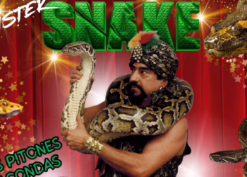 Las organizaciones ANDA, AAP Primadomus, AnimaNaturalis y FAADA ponen de manifiesto que el uso de serpientes anunciado por el circo contraviene la Ley estatal de Bienestar Animal