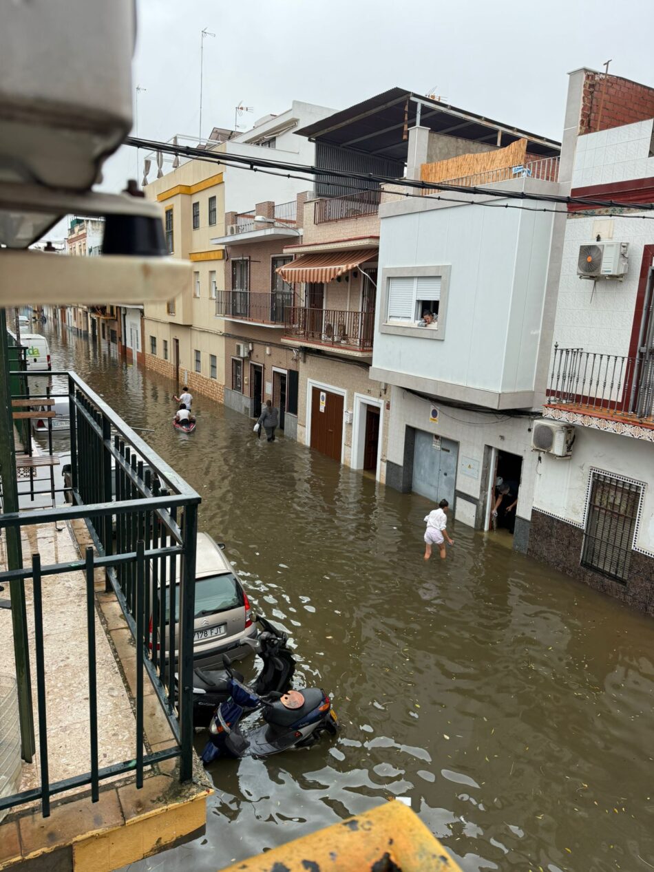 Un año después de la DANA, Sevilla vuelve a inundarse: Ecologistas en Acción apuesta por una ciudad más permeable y adaptada al cambio climático