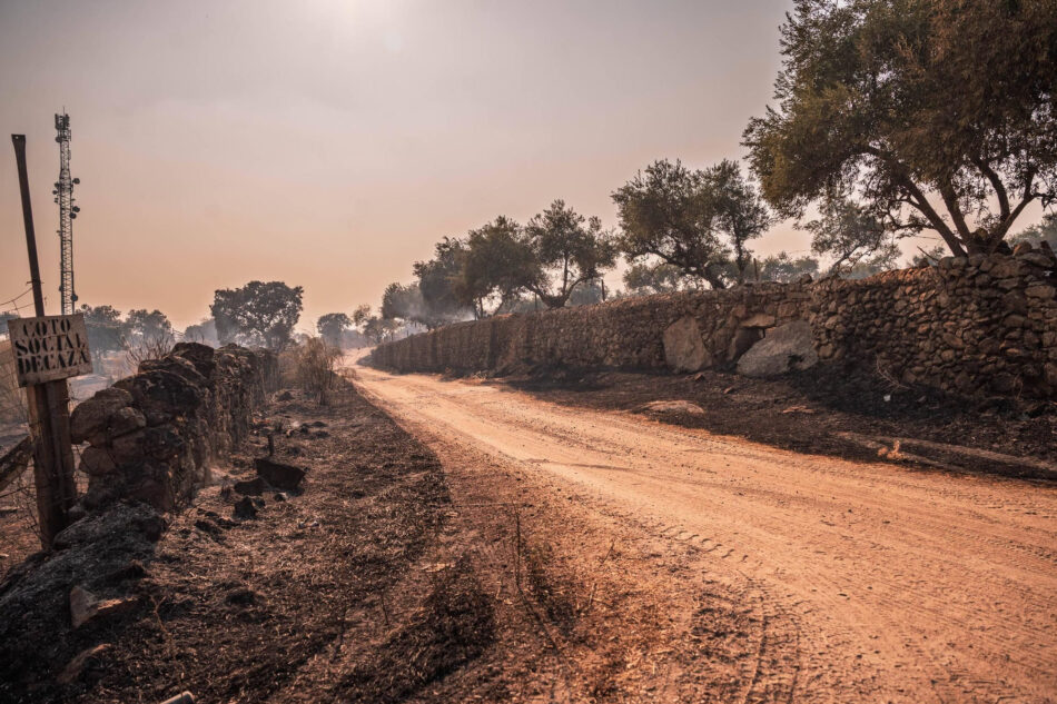 Ecologistas en Acción Extremadura critica y alega al decreto Ley 23/2025, postincendios