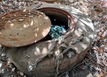 Ecologistas en Acción denuncia un nuevo vertido de aguas residuales en Las Piletas