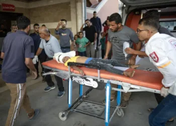 El genocidio no cesa: Israel ha asesinado a 97 gazatíes durante el alto el fuego