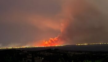 Preocupación por los planes forestales del Gobierno Ayuso