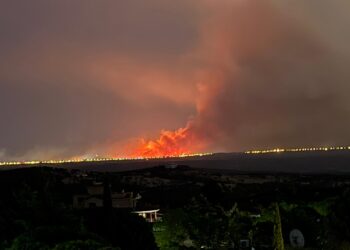 Preocupación por los planes forestales del Gobierno Ayuso