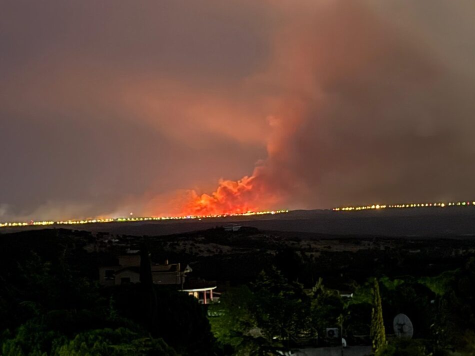 Preocupación por los planes forestales del Gobierno Ayuso
