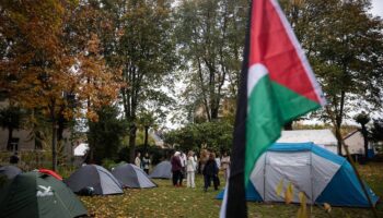 Reconocimiento a todas las mujeres participantes en el campamento de bruselas en apoyo de la causa palestina