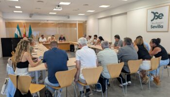 IU Sevilla y sus alcaldías exigen a la Junta el pago inmediato y una financiación justa del Servicio de Ayuda a Domicilio