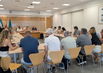 IU Sevilla y sus alcaldías exigen a la Junta el pago inmediato y una financiación justa del Servicio de Ayuda a Domicilio