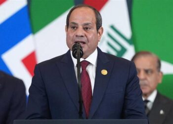 Egipto defiende derecho del pueblo palestino y pide paz regional
