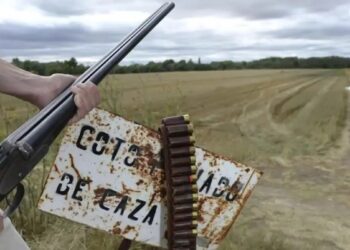 Presentan alegaciones al reglamento de caza de Castilla-La Mancha