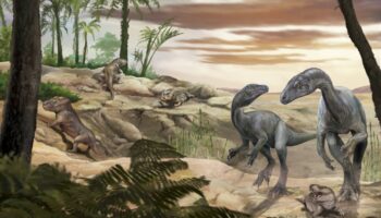 Cómo los dinosaurios desarrollaron cuerpos enormes y cuellos largos
