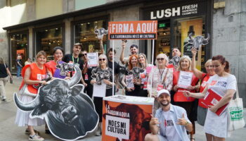 La ILP «No Es Mi Cultura» llega al Pleno del Congreso para decidir el futuro de la tauromaquia como patrimonio cultural