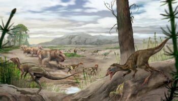 El amanecer de los dinosaurios: un hallazgo obliga a repensar su evolución temprana