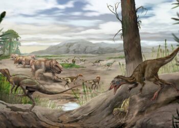 El amanecer de los dinosaurios: un hallazgo obliga a repensar su evolución temprana