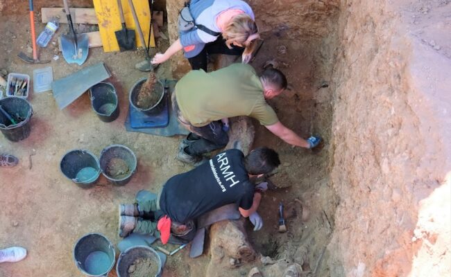 Entregados los restos identificados de los hermanos Esteban y Patricio Ortega Somolinos, asesinados en 1940 por pistoleros fascistas