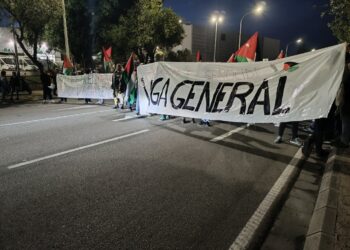 Esquerra Unida de Catalunya dona suport a les vagues i mobilitzacions del 15 d’octubre en suport al poble palestí
