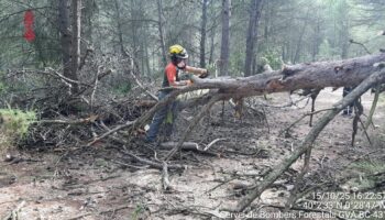 Denuncia de la temeraria gestión de los consorcios provinciales de bomberos respeto a la movilización y mando del servicio de bomberos/as forestales de la GVA