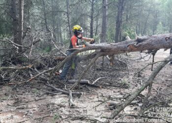 Denuncia de la temeraria gestión de los consorcios provinciales de bomberos respeto a la movilización y mando del servicio de bomberos/as forestales de la GVA