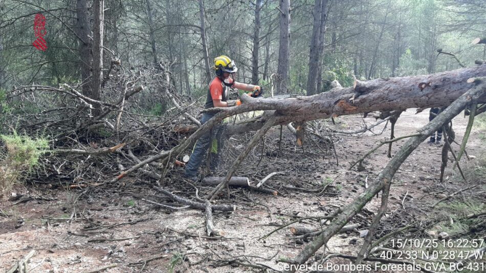 Denuncia de la temeraria gestión de los consorcios provinciales de bomberos respeto a la movilización y mando del servicio de bomberos/as forestales de la GVA