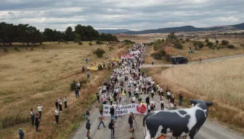 Organizaciones ecologistas celebran el fin definitivo de la macrogranja de Noviercas