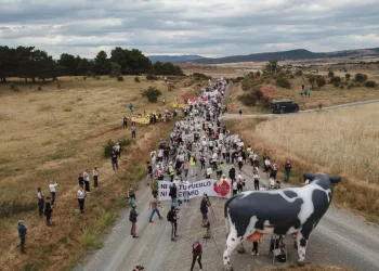 Organizaciones ecologistas celebran el fin definitivo de la macrogranja de Noviercas