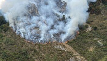 Desde la Coordinadora Ecoloxista lamentamos las pocas medidas a tomar en la campaña de prevención de incendios forestales de Asturias
