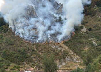 Desde la Coordinadora Ecoloxista lamentamos las pocas medidas a tomar en la campaña de prevención de incendios forestales de Asturias