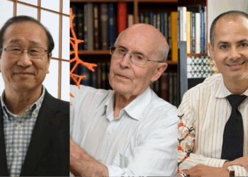 Kitagawa, Robson y Yaghi ganan el Nobel de Química 2025 por sus trabajos en estructuras organometálicas