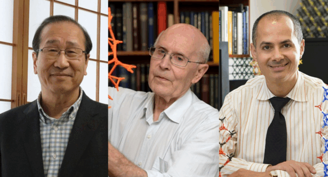 Kitagawa, Robson y Yaghi ganan el Nobel de Química 2025 por sus trabajos en estructuras organometálicas