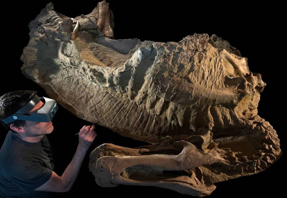 Las ‘momias’ de hadrosaurio son en realidad moldes de arcilla creados por microbios