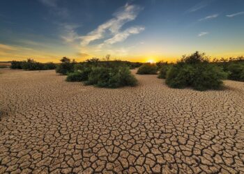 Las sequías extremas ponen en peligro la capacidad de pastizales y matorrales para almacenar carbono