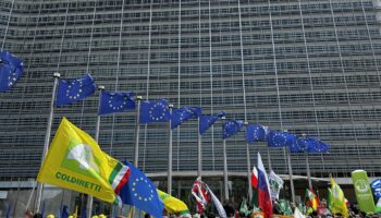 El nuevo marco financiero de la UE consolida los recortes salvajes en conservación de la naturaleza