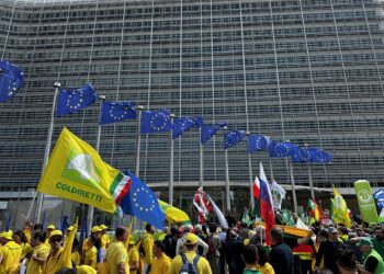 El nuevo marco financiero de la UE consolida los recortes salvajes en conservación de la naturaleza