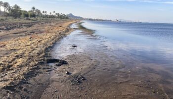 Siglos de minería convierten el Mar Menor en un depósito de metales tóxicos