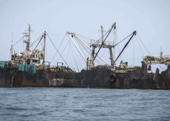 El control de las importaciones de la UE no está logrando mantener los productos pesqueros ilegales fuera de los platos europeos, advierte un nuevo informe