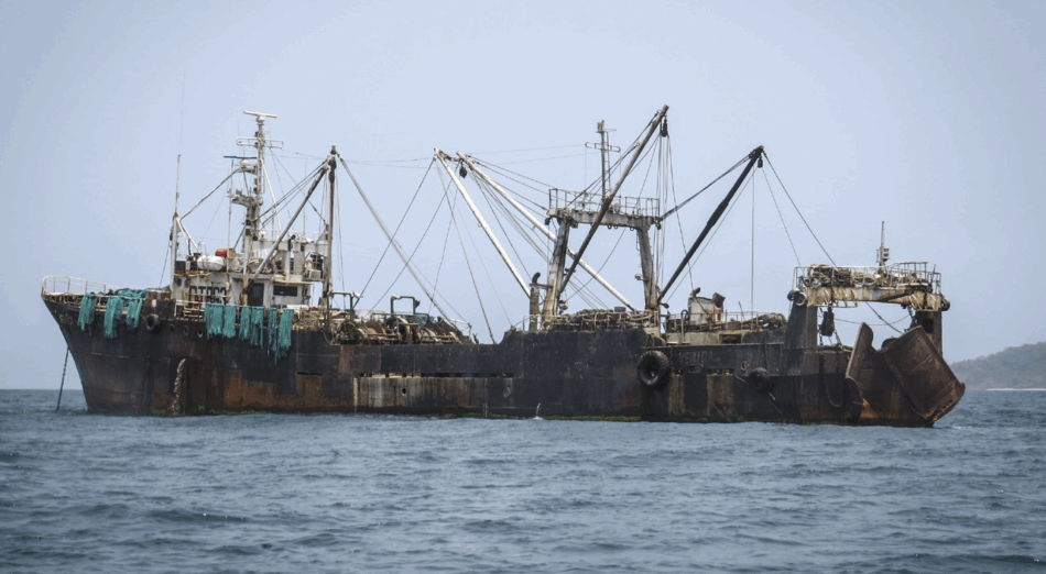 El control de las importaciones de la UE no está logrando mantener los productos pesqueros ilegales fuera de los platos europeos, advierte un nuevo informe