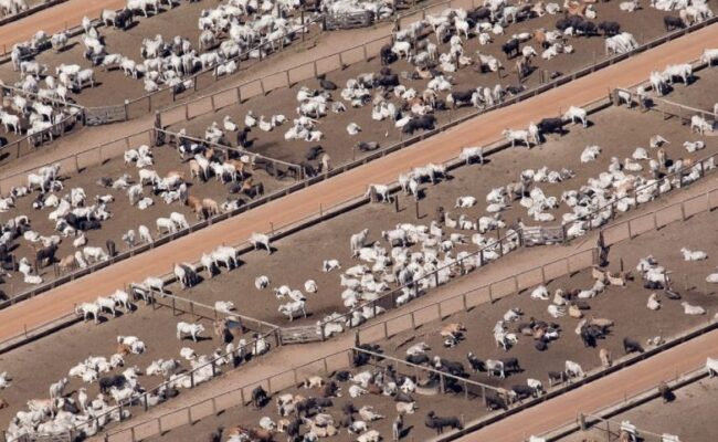 Dos gigantes españolas entre las 45 empresas cárnicas y lácteas más contaminantes del mundo 