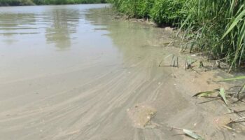 La Coordinadora del Agua exige investigación y responsabilidades a los seis municipios afectados e implicados, por el mal estado de las aguas del Guadalete