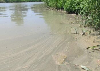 La Coordinadora del Agua exige investigación y responsabilidades a los seis municipios afectados e implicados, por el mal estado de las aguas del Guadalete