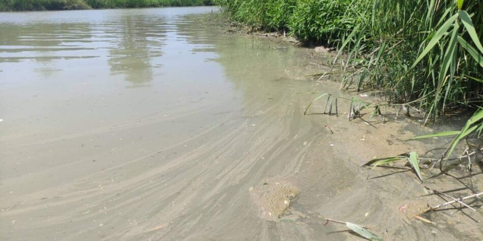 La Coordinadora del Agua exige investigación y responsabilidades a los seis municipios afectados e implicados, por el mal estado de las aguas del Guadalete