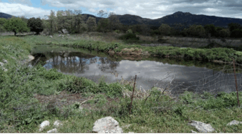 Sanción de 45.000 euros por almacenamiento de estiércol en suelos permeables de la zona de Pedrezuela