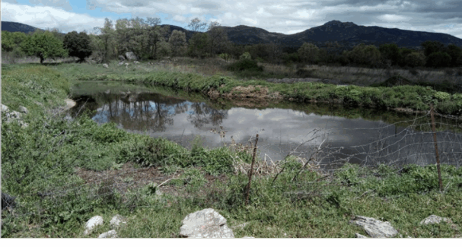 Sanción de 45.000 euros por almacenamiento de estiércol en suelos permeables de la zona de Pedrezuela