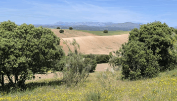 Plataforma Ecologista Madrileña: «El anteproyecto de nueva Ley del Suelo de Madrid liquida el urbanismo público y consolida el suelo como negocio»