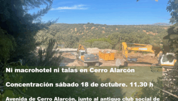 Vecinos y ecologistas se concentran contra las talas en Cerro Alarcón por la construcción de un hotel de lujo
