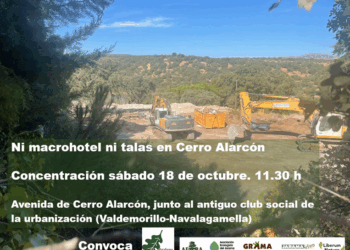Vecinos y ecologistas se concentran contra las talas en Cerro Alarcón por la construcción de un hotel de lujo