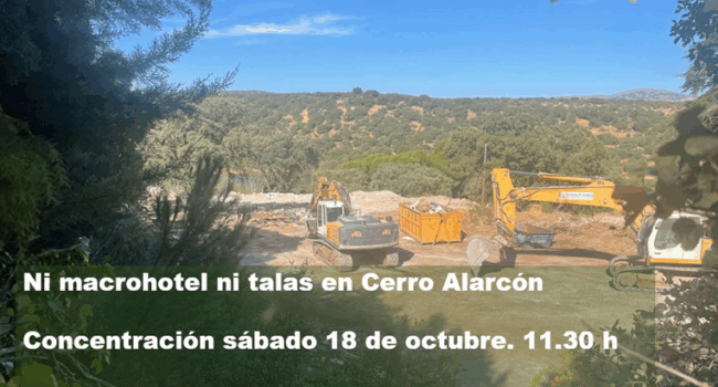 Vecinos y ecologistas se concentran contra las talas en Cerro Alarcón por la construcción de un hotel de lujo