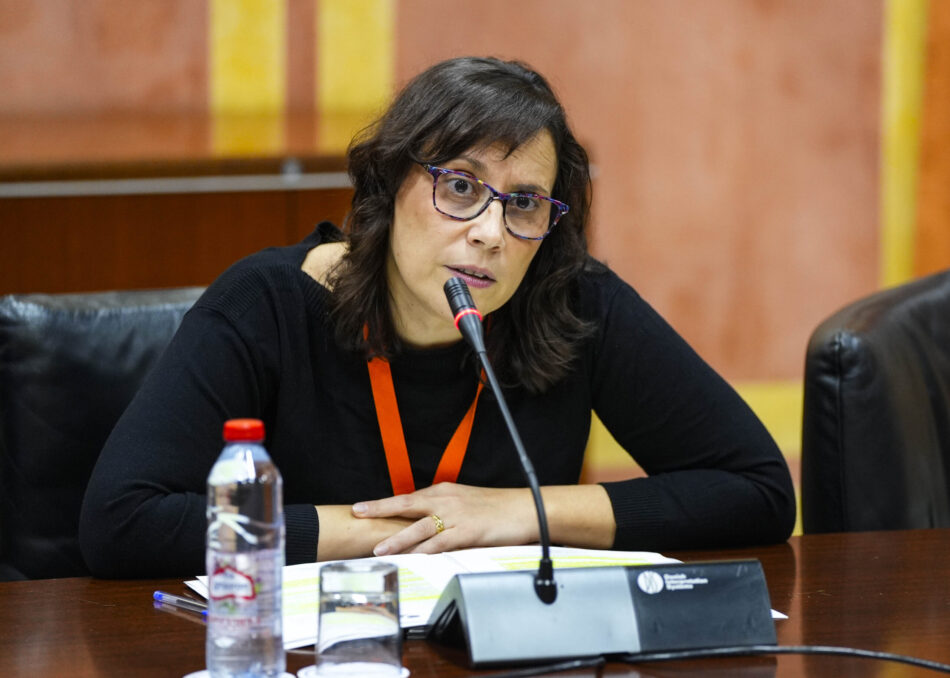 FACUA Andalucía advierte de que la nueva ley de vivienda de la comunidad sigue sin reconocer su «función social»